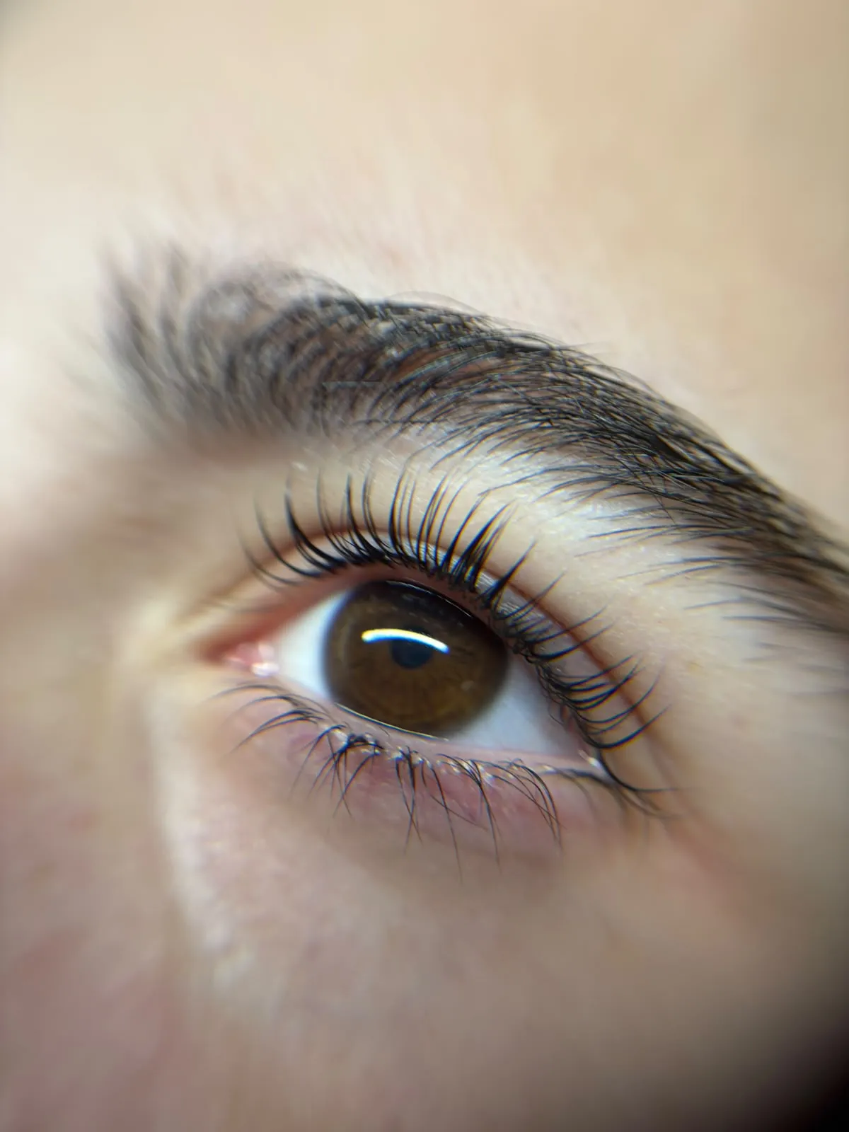Arbeit aus dem Bereich Wimpern & Brauen – Beauty Palace